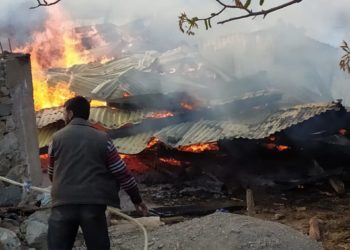 Minor, Woman from UP among 3 killed in shelling in Kupwara