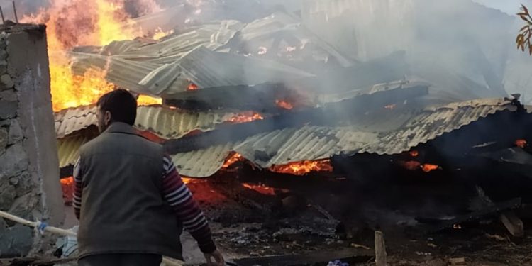Minor, Woman from UP among 3 killed in shelling in Kupwara