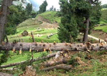 Representational Photo