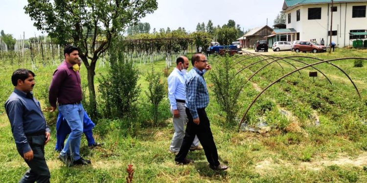Director Horticulture takes stock of developmental activities in Kupwara