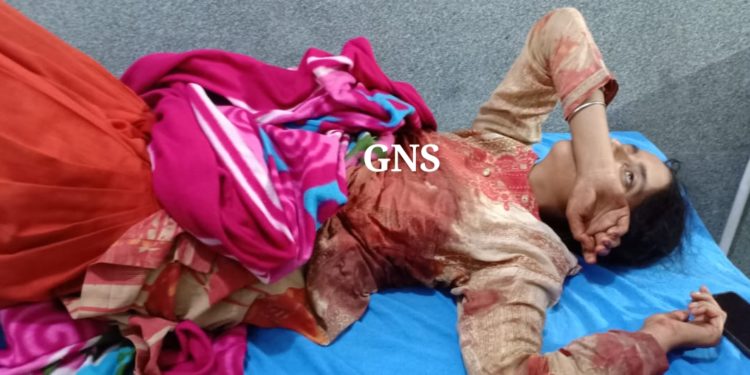Poonch girl injured in Pak army fire while grazing goats near LoC: Officials