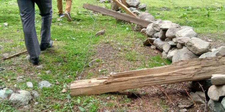Forest Dept Aborts ‘Encroachment Bid’ In Pahalgam; Several Kanals of ‘Prized’ Forest Land Retrieved