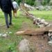 Forest Dept Aborts ‘Encroachment Bid’ In Pahalgam; Several Kanals of ‘Prized’ Forest Land Retrieved