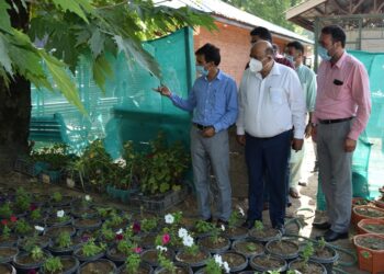 Commissioner Secretary Floriculture inspects development works on Hi-tech Park Polo view Srinagar
