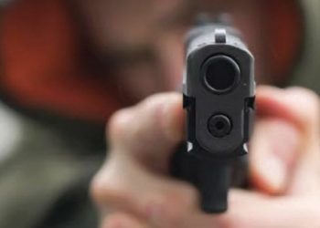 Updated,SSB trooper shoots ASI colleague death, ends his life in Kulgam