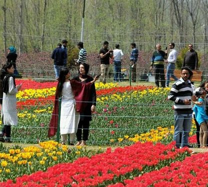 All Parks, Gardens To Reopen In J&K From Tomorrow: Advisor Baseer Khan