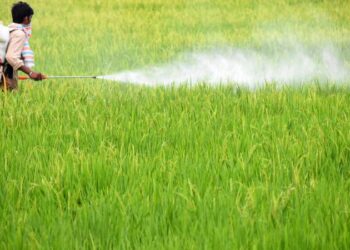 Overuse of pesticides decreasing biodiversity, say agriculturalists
