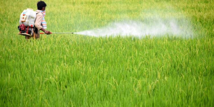 Overuse of pesticides decreasing biodiversity, say agriculturalists