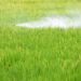 Overuse of pesticides decreasing biodiversity, say agriculturalists