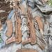 2 rifles recovered as police, army bust militant hideout in Poonch