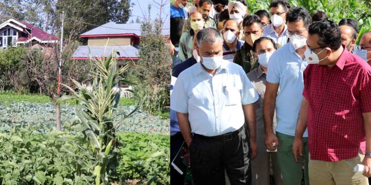 Navin Choudhary visits Vegetable Cluster Baramulla