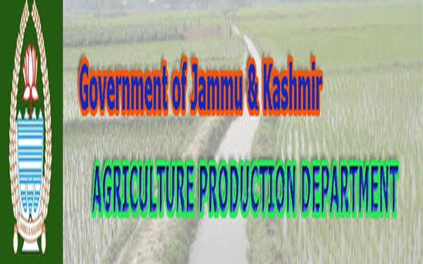 E-Auction portal created to promote trading of GI tagged ‘Kashmir Saffron’