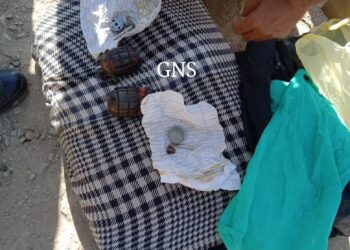 Shopian resident held with 2 grenades in Rajouri: Police