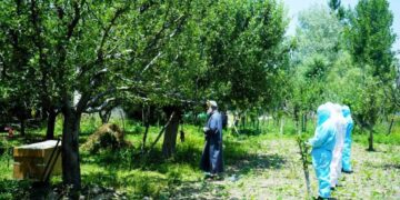 Covid-19 claims 4 lives in J&K