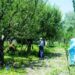 Covid-19 claims 4 lives in J&K