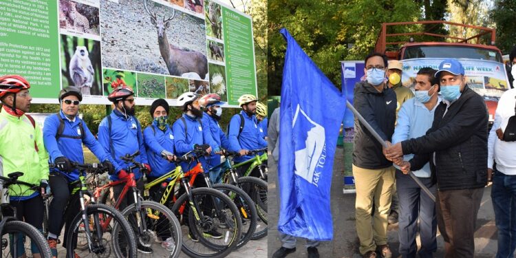 Tourism sector moving towards gradual revival in Kashmir: Nisar Wani