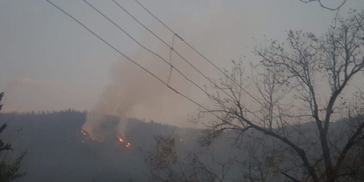 Inferno Engulfs Forest Area At Multiple Spots in Lolab