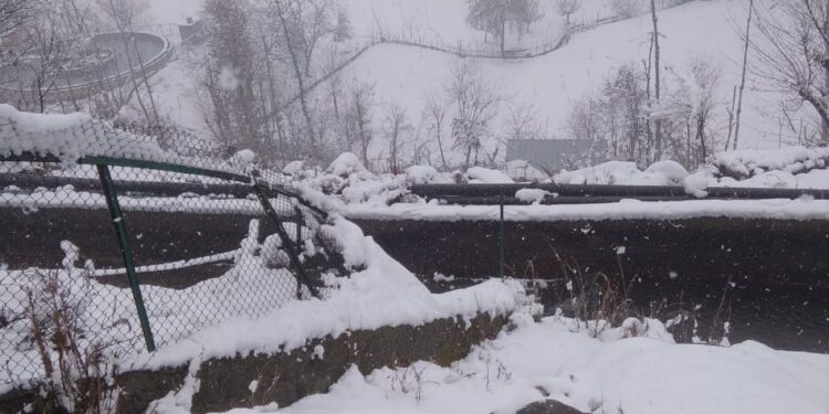 Dry Weather From Nov 26: MeT, Mercury Remains Below Normal Across J&K Amid More Rains, Snow; Mughal Road, Sgr-Leh Highway Remain Closed