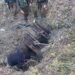 Hideout busted in Baramulla