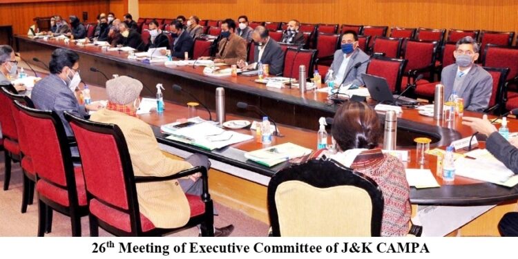 Executive Committee-CAMPA recommends Afforestation of 13000 ha in 2021-22
