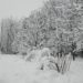 Major snowfall of season in Kashmir; Air Traffic Remains Suspended, Highways Closed