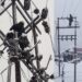 Snow Batters Kashmir: Roads Impassable, Electricity Supply Disrupted