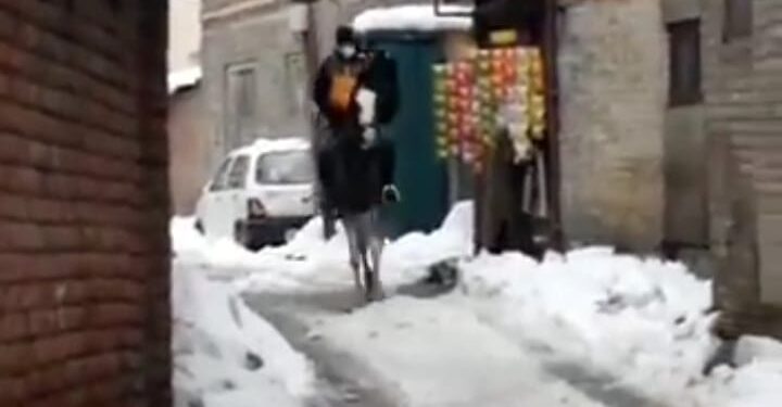 Amazon Delivery Boy from Srinagar Riding Horse to Deliver Parcels Draws ‘Amazing’ Response from Netizens