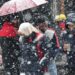 Snow batters Kashmir again, sparks traffic chaos