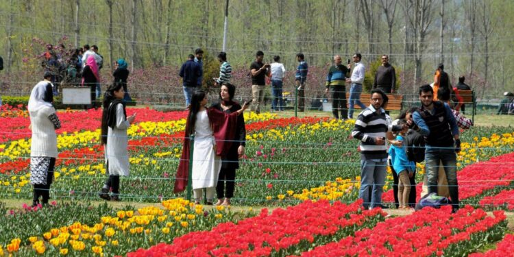Advisor Baseer Khan reviews preparations for upcoming tulip festival