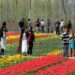 Advisor Baseer Khan reviews preparations for upcoming tulip festival