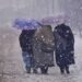 Nonstop Rains Drench Valley; Snowfall In Most North Kashmir Parts, Pahalgam