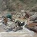Five family members injured in road mishap along Srinagar-Jammu Highway