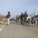 Lawaypora Attack: CRPF Trooper Succumbs, toll 2; Militants Decamp With Ak-47 Rifle Also