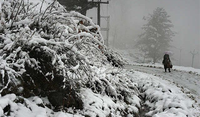 Bandipora-Gurez road closed amid snowfall