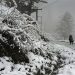 Bandipora-Gurez road closed amid snowfall