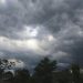 Weather improves but more rains forecast in Kashmir