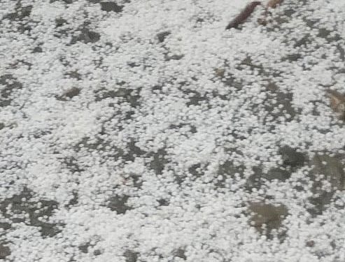 Hailstorm Hits Mawar Hamlets; Causes Extensive Damage to Orchards, Standing Crops