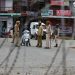 Normal Life Remain Affected, 183 Persons Arrested In Kashmir