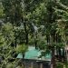 Uri Residents Accuse Authorities Of Inaction On Axing Russian Poplars