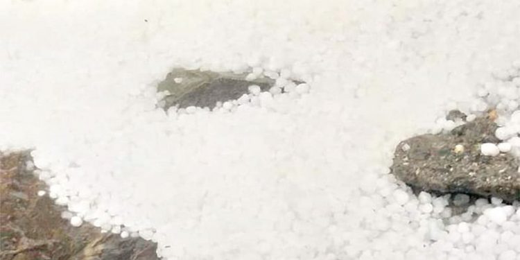 Cloudbursts, Hailstorms Cause Damage To Orchards, Standing Crops In Kupwara