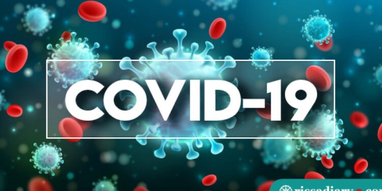 J&K Reports 179 Covid-19 Cases, 1 Death