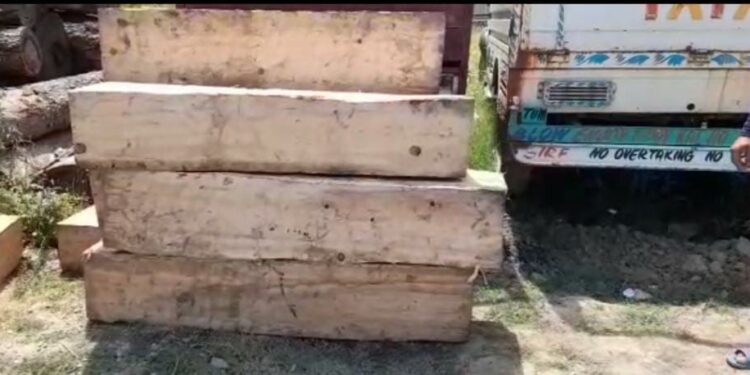 FPF Personnel Injured By Timber Smugglers In Pulwama
