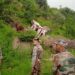 Load Carrier Turns Turtle In Poonch; 2 Persons Injured, Ox Dead