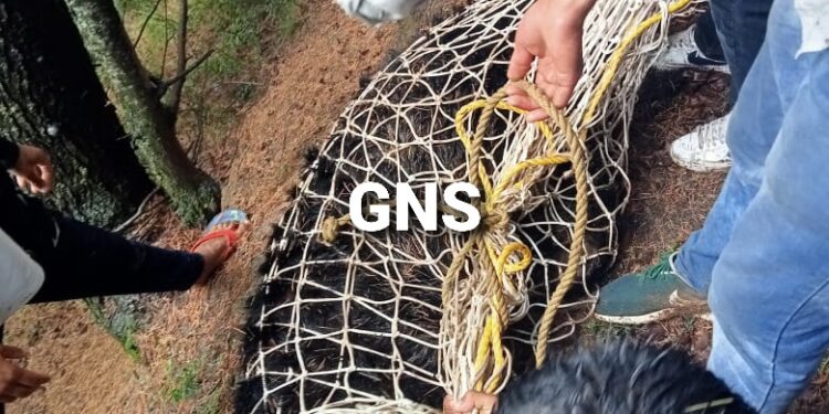 Bear, 2 Cubs Rescued In Baramulla’s Tangmarg