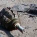 10-year-old Boy Injured As ‘Abandoned’ Grenade Goes Off in Kalaroos Kupwara