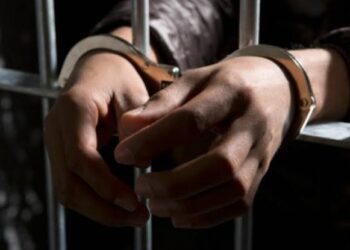 Three persons from Pak apprehended along LoC in Poonch