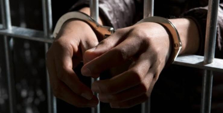 Three persons from Pak apprehended along LoC in Poonch