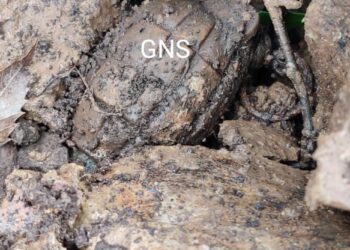 Rusted grenade found in Rajouri
