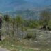 Indo-Pak Armies Exchange Gunfire Briefly Along LoC In Teetwal Sector