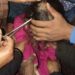 Minor Girl Wounded in Leopard Attack in Uri